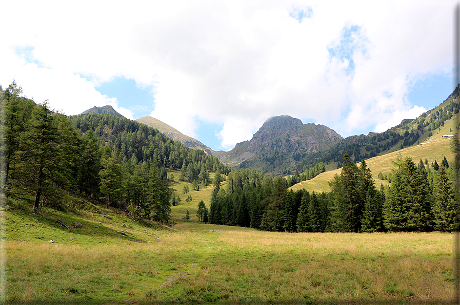 foto Da Forcella Montalon a Val Campelle